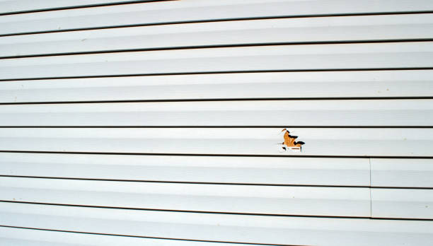 Best Weatherproofing and Sealing  in Leisure Village, NJ