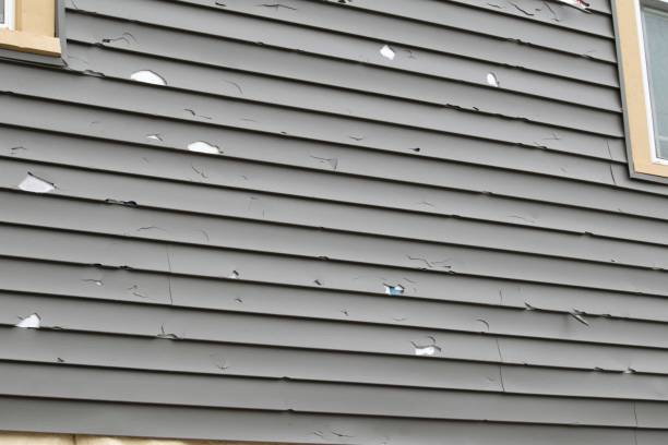 Best Fiber Cement Siding Installation  in Leisure Village, NJ