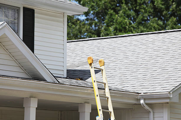 Best Stone Veneer Siding  in Leisure Village, NJ